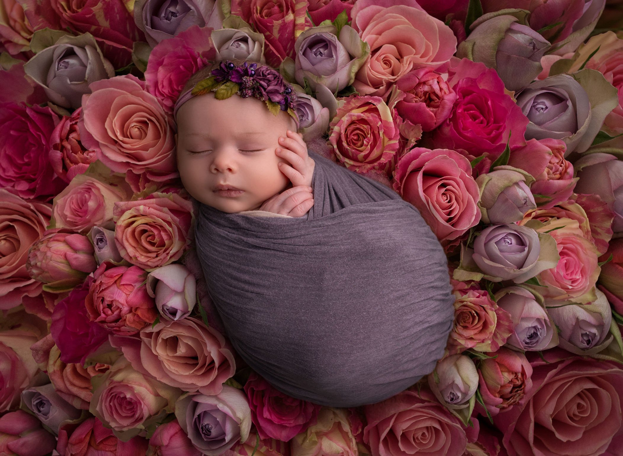 The Magic of for Newborn Composite Photos One Big Happy Photo