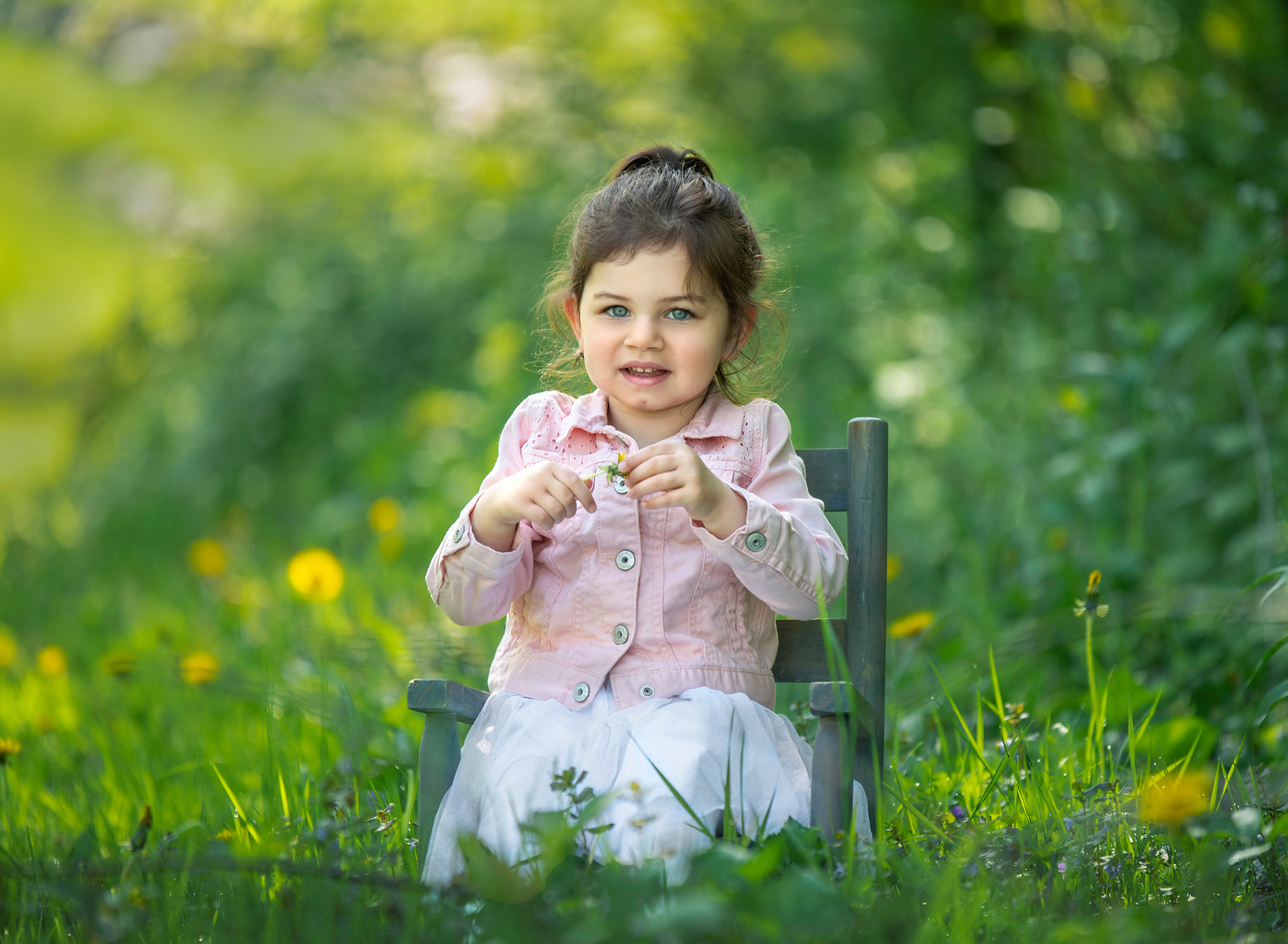 Summer Family Photos young girl sitting in rustic chair in dandelion field