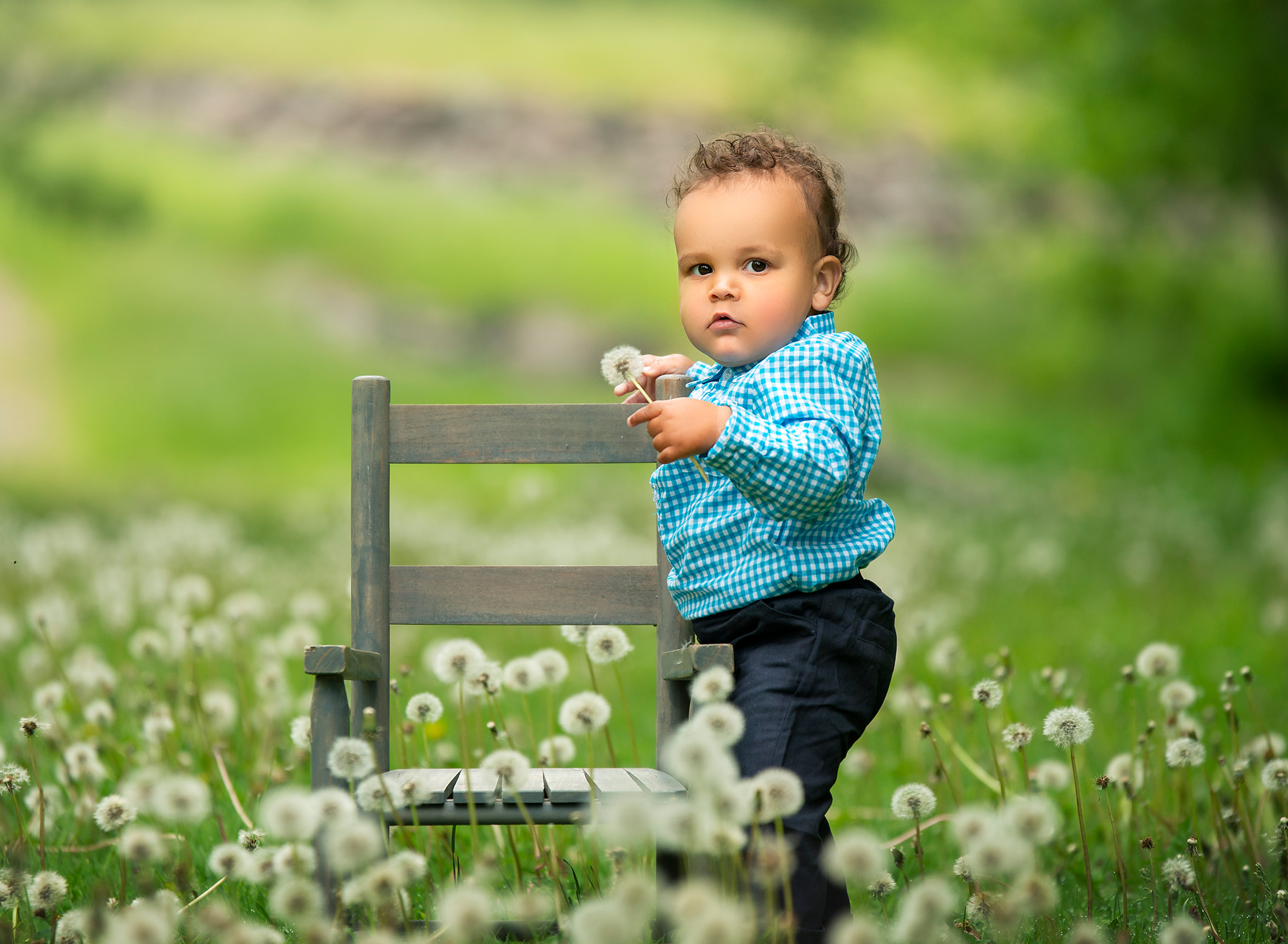 Stunning Summer Outdoor Family Photos one year old boy posing with rustic chair in dandelion field holding a dandelion