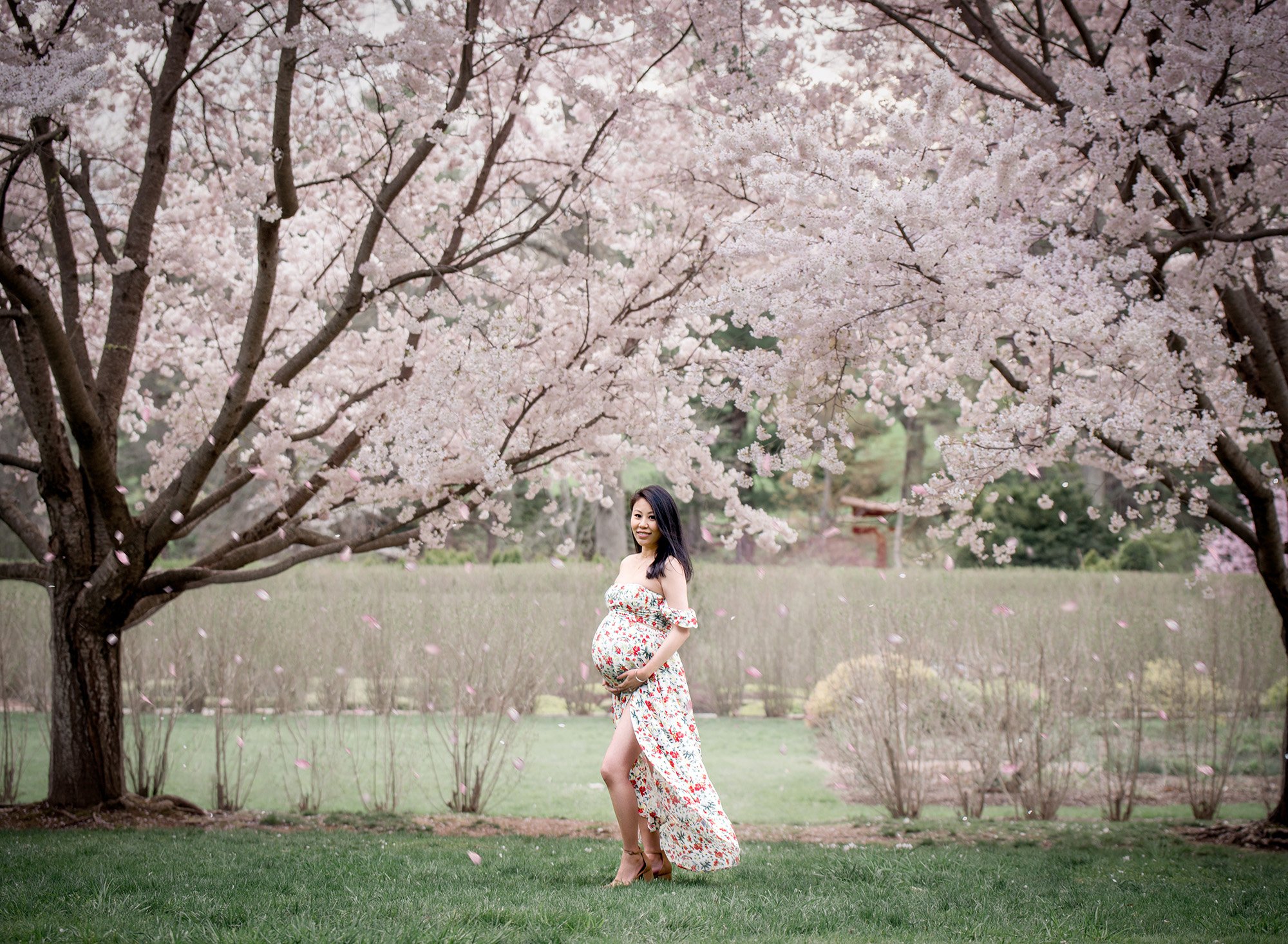 Spring Maternity Photos in Manchester CT pregnant woman in floral maternity dress holding her stomach with weeping cherry trees in the background