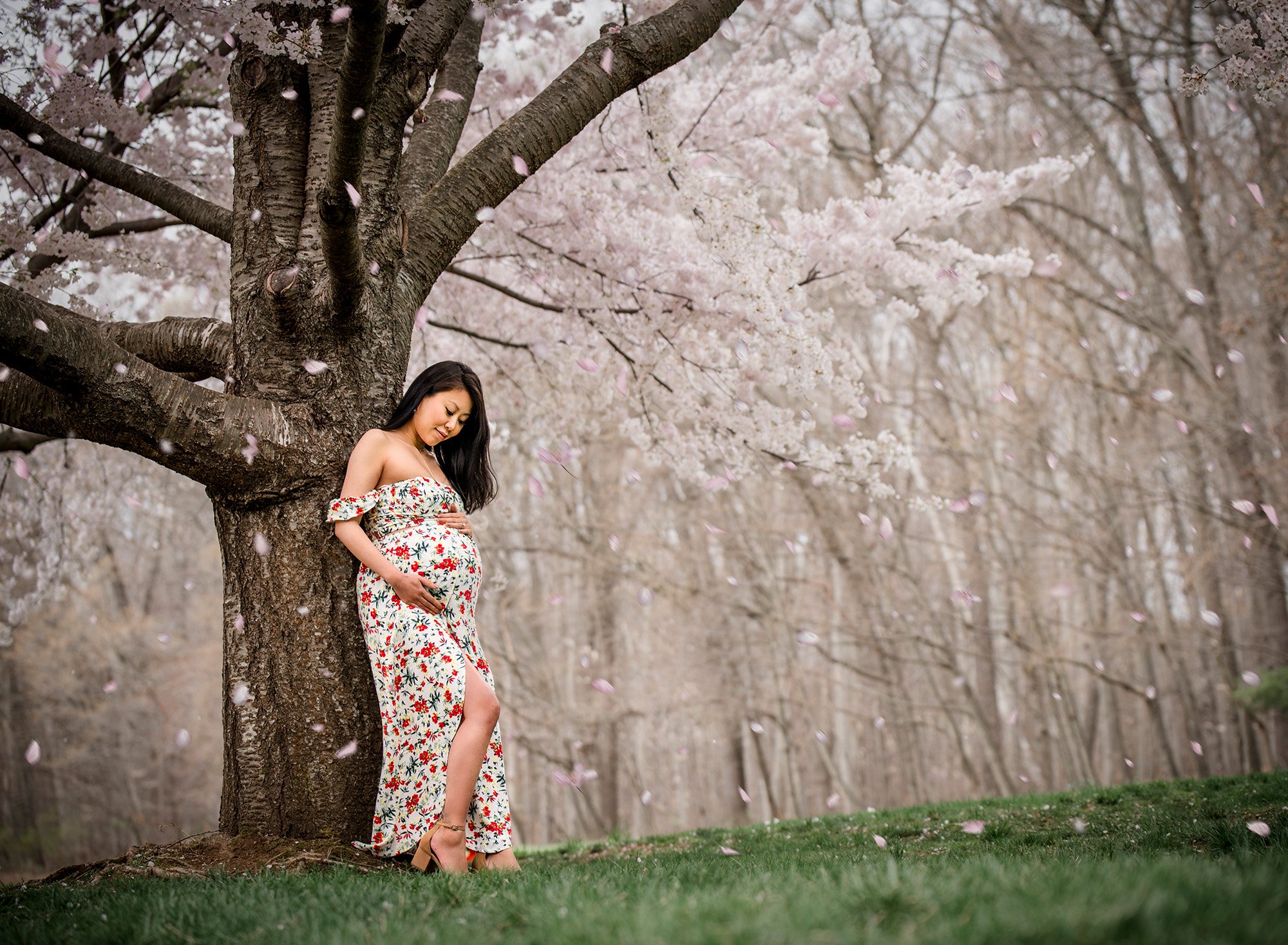 Spring Maternity Photos in Manchester CT pregnant woman in floral maternity dress touching her stomach under a weeping cherry tree