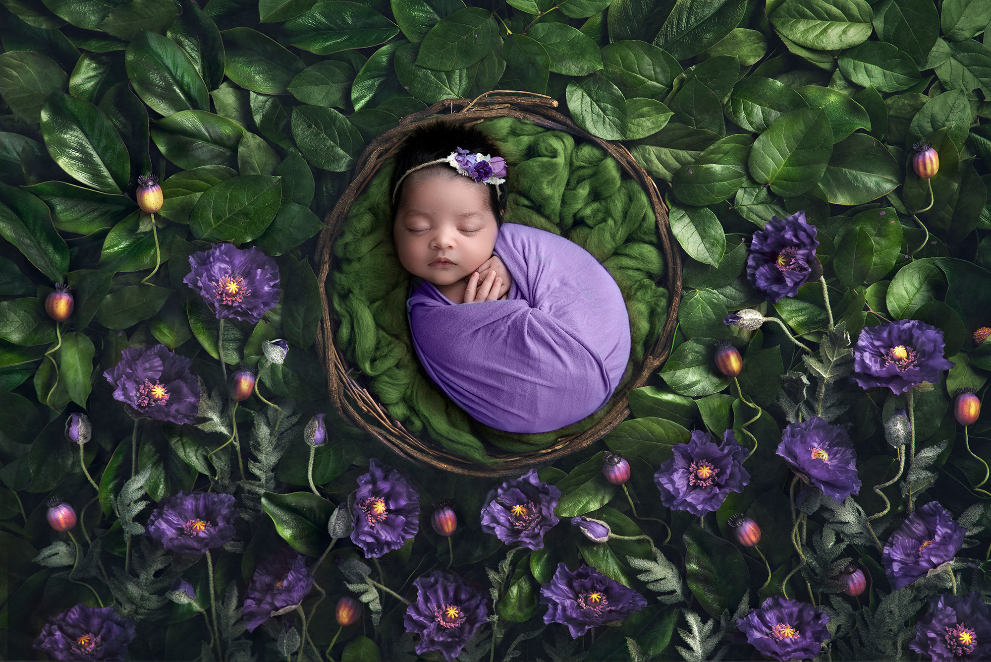 Newborn Photos Full of Color asleep newborn baby girl swaddled in purple surrounded by green leaves and purple flowers