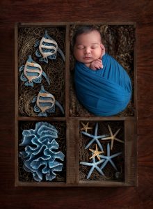 newborn baby boy asleep in wooden box of fish, coral and starfish