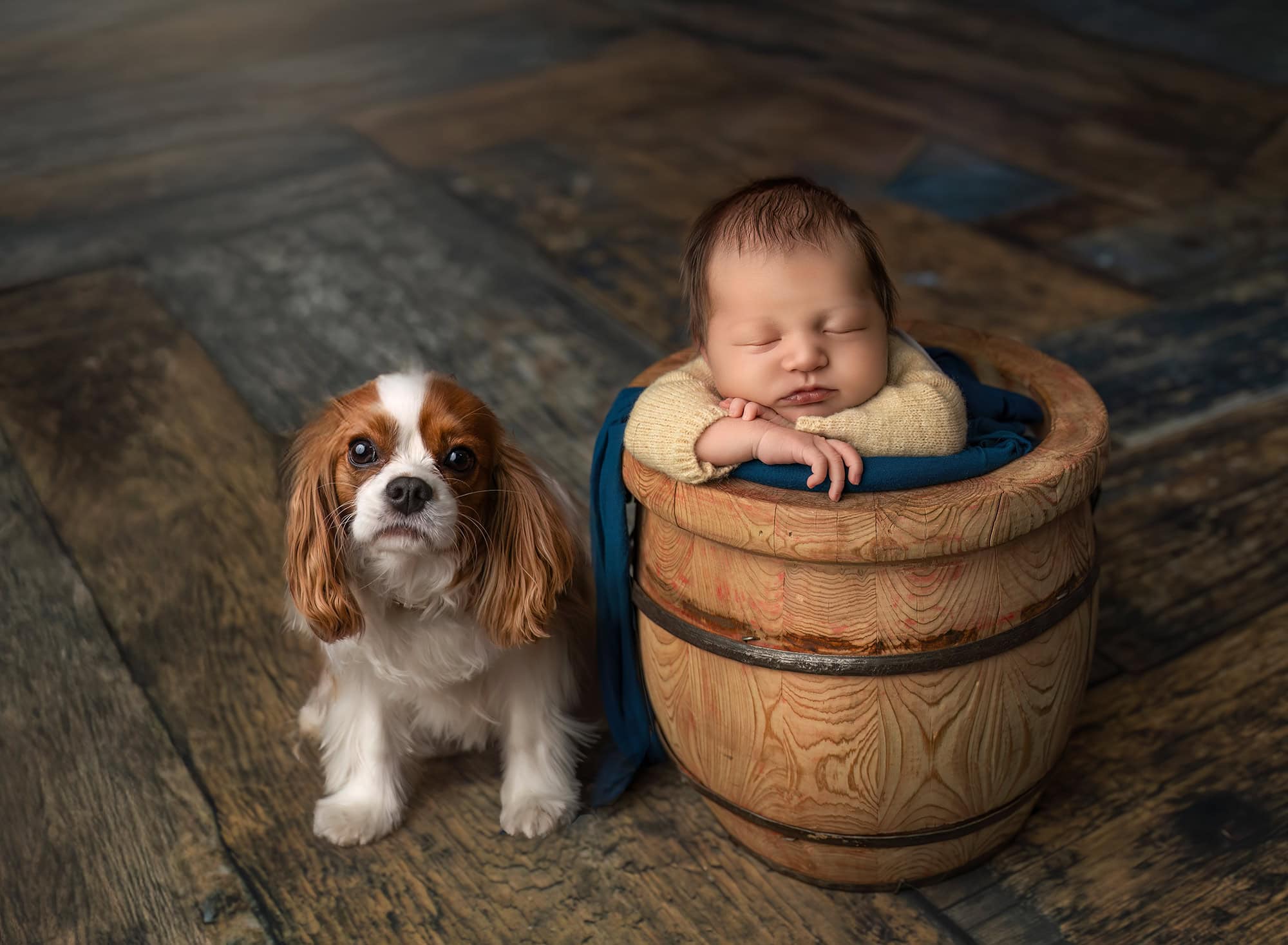 baby and dog photo