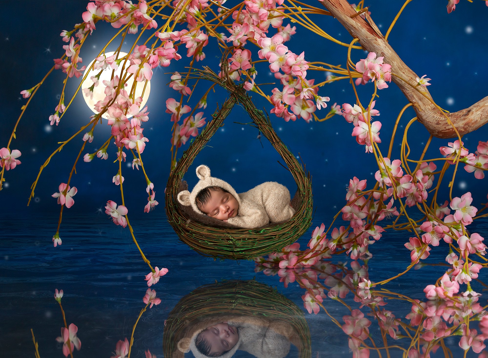 Professional Maternity Newborn Photographer newborn baby girl asleep in basket hanging from floral tree under the moonlight