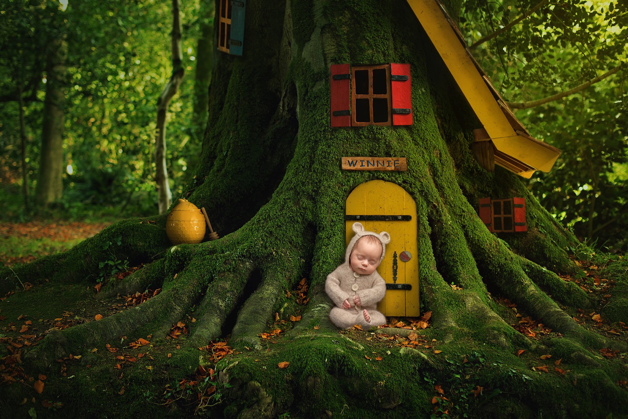 award winning newborn photography newborn baby boy sitting in sweater romper in front of Winnie the pooh's tree with honey pot