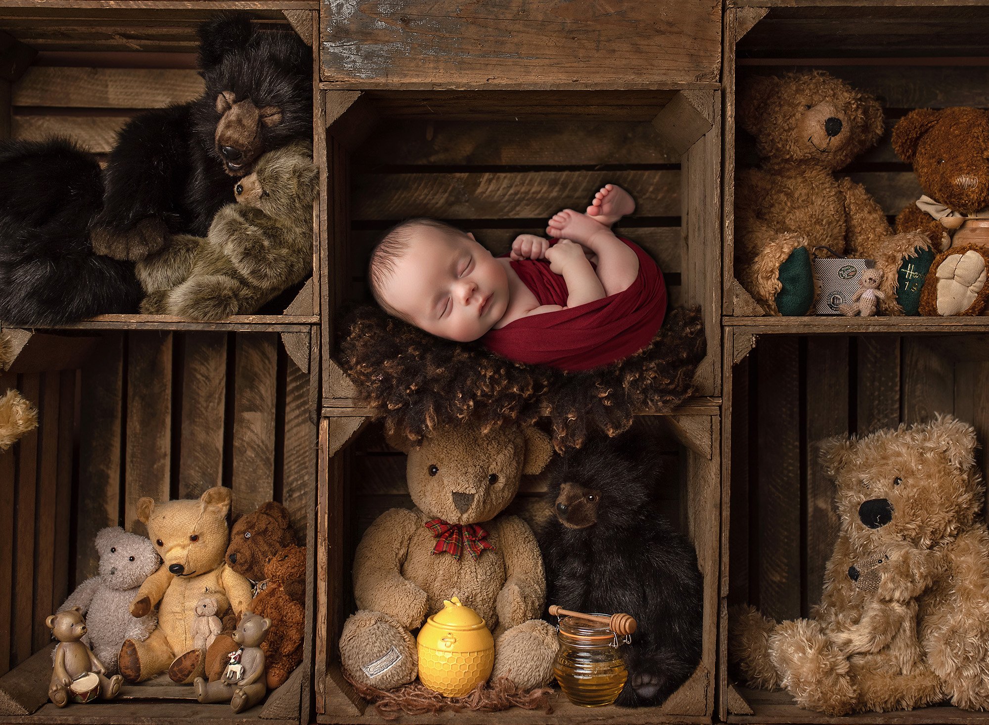 award winning newborn photography newborn baby boy tucked away in a rustic cubby full of bear stuffed animals and honey pots
